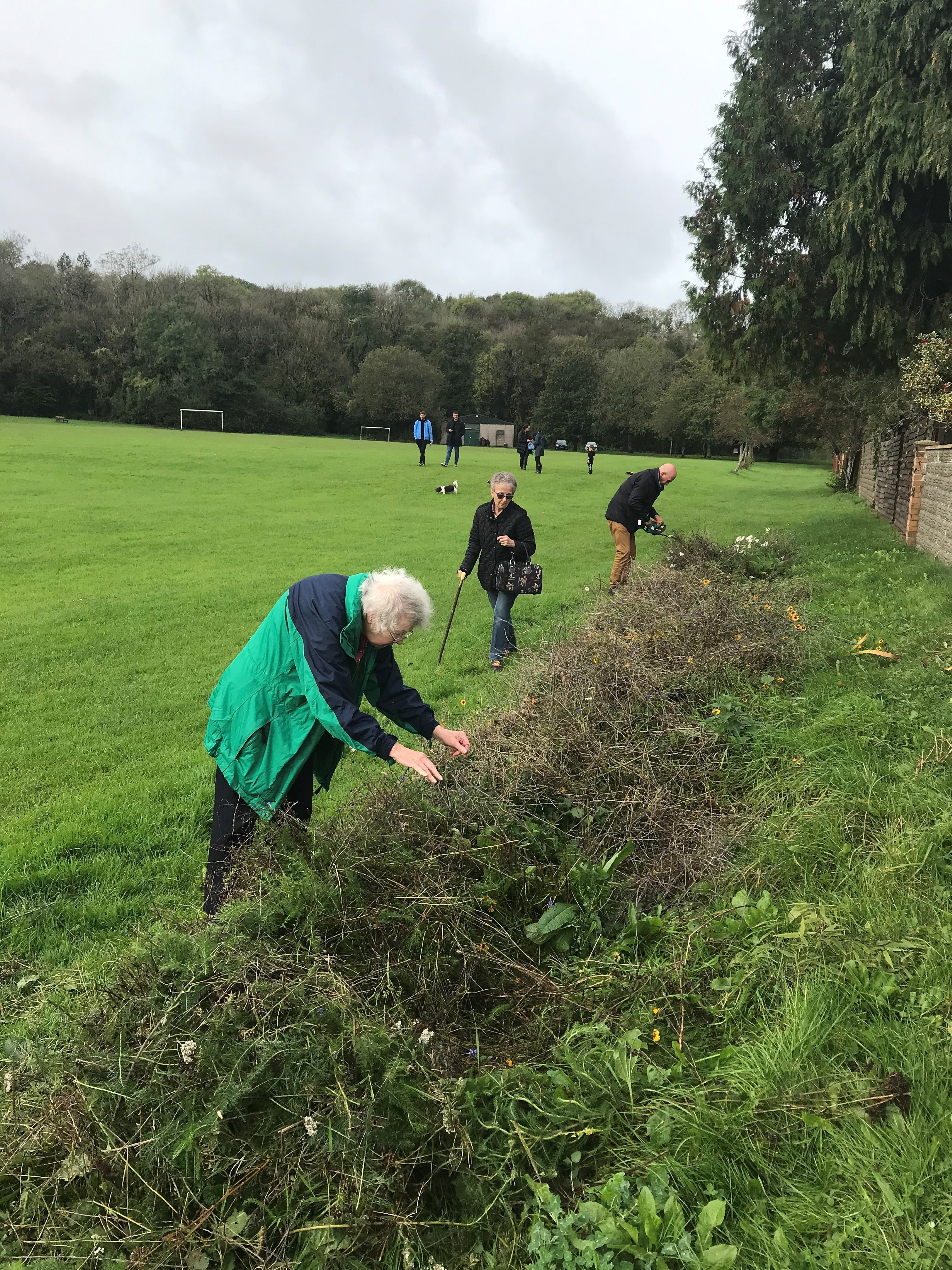 Wildflower Seed Preparation